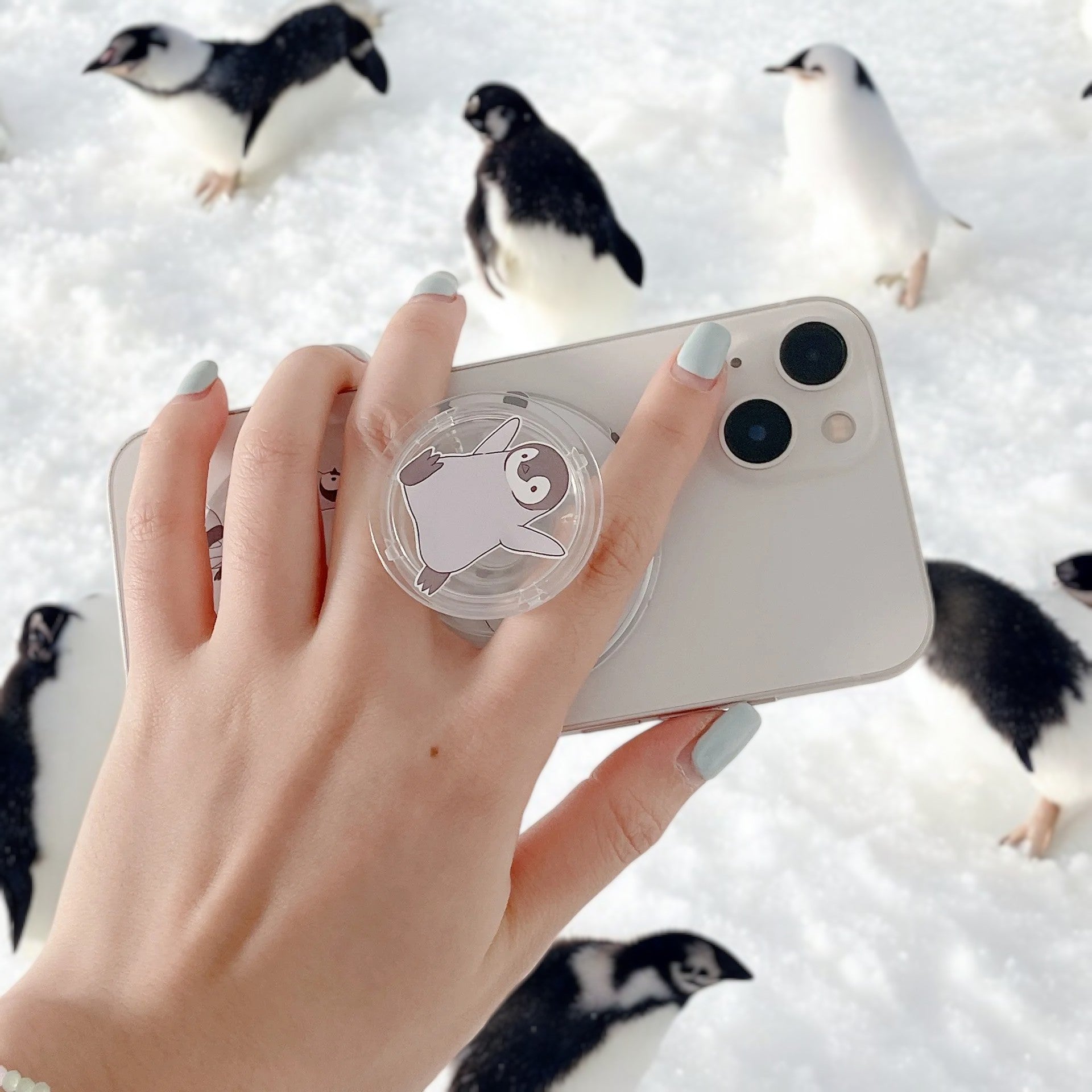 PenguinPal Magnetic Pop Socket – Snap-on Grip & Stand for MagSafe iPhones-the lalezar